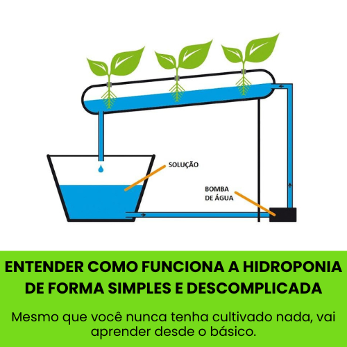1 Entender como funciona a hidroponia de forma simples e descomplicada (1)