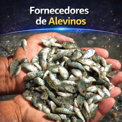 ChatGPT Image 6 de fev. de 2026, 15_10_39 ChatGPT Image 6 de fev. de 2026, 15_10_39